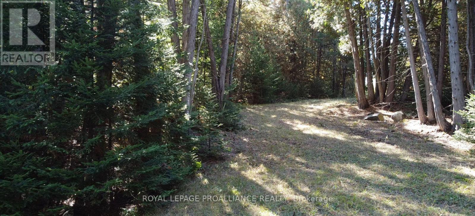 6107 Buckshot Lake Road, Frontenac (Frontenac North), Ontario  K0H 2M0 - Photo 7 - X12481943