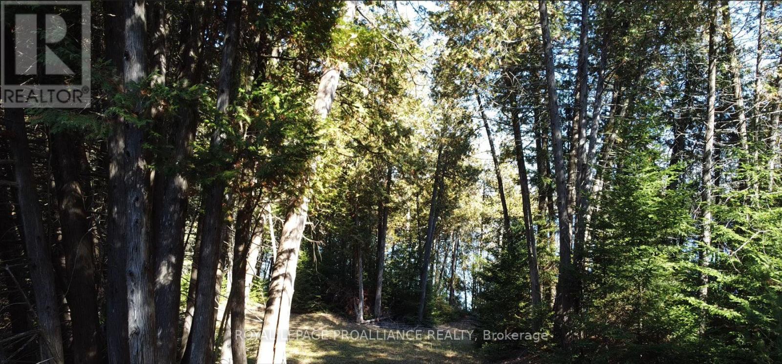 6107 Buckshot Lake Road, Frontenac (Frontenac North), Ontario  K0H 2M0 - Photo 9 - X12481943