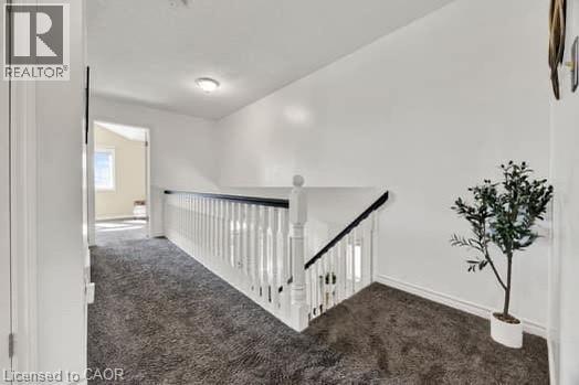 14 Keller Crescent, Kitchener, Ontario  N2N 3M7 - Photo 8 - 40782062