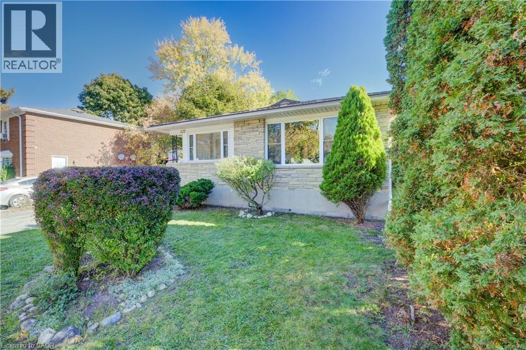 127 Jansen Avenue, Kitchener, Ontario  N2A 2L8 - Photo 3 - 40782100