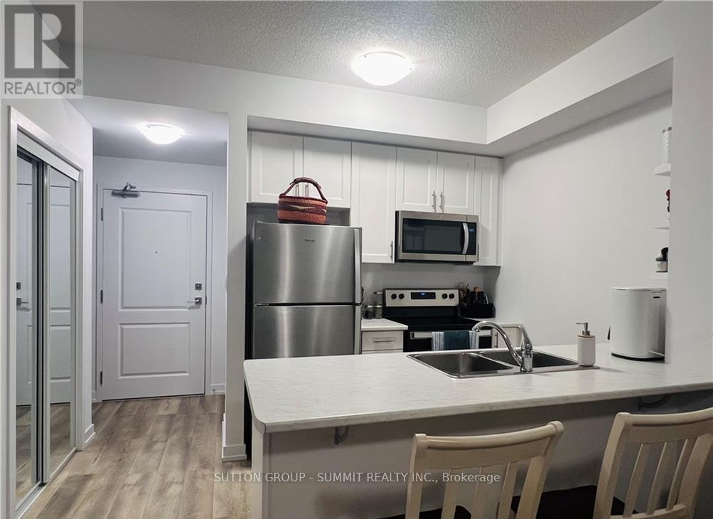 215 - 470 Dundas Street, Hamilton, Ontario  L8B 2A6 - Photo 11 - X12481996