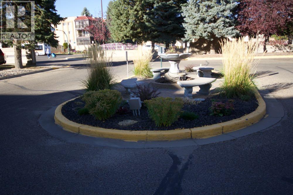 picture 1