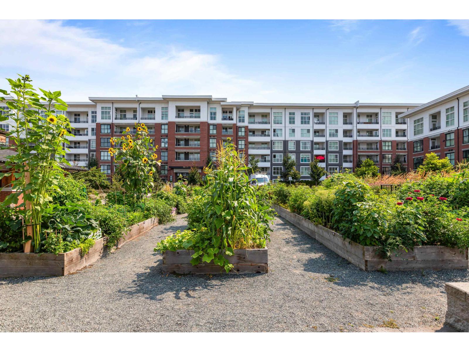 B319 8150 207 Street, Langley, British Columbia  V2Y 4J2 - Photo 27 - R3061623