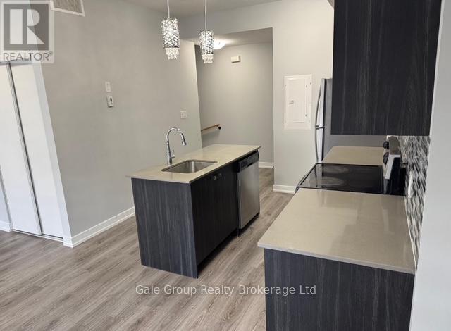 71 - 10 Palace Street, Kitchener, Ontario  N2E 0J3 - Photo 3 - X12482119