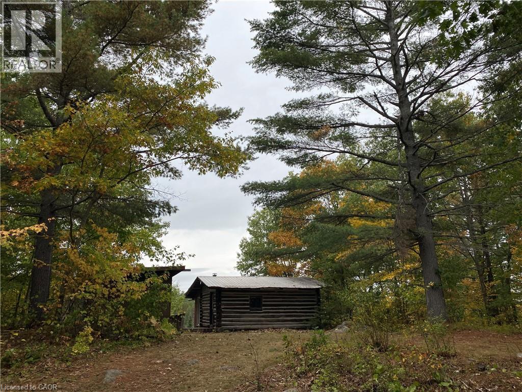 675 Dore Bay Road Road, Renfrew, Ontario  K8A 6W5 - Photo 16 - 40782194