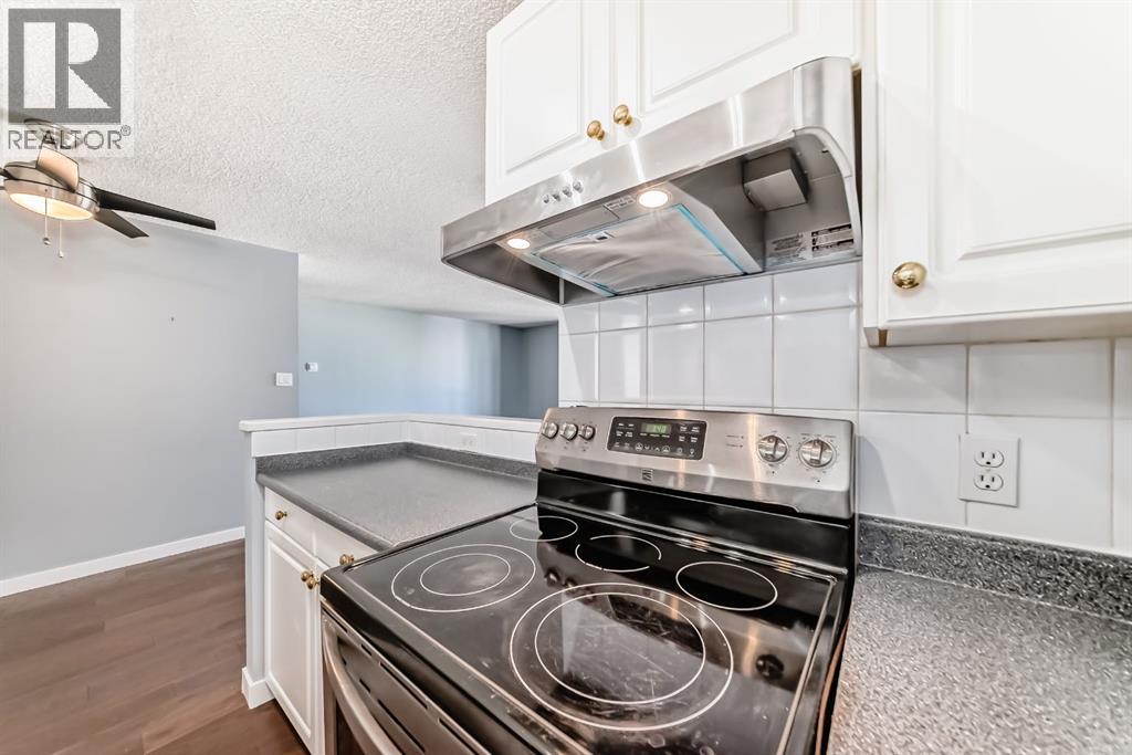 401, 317 14 Avenue Sw, Calgary, Alberta  T2R 0M4 - Photo 7 - A2253071