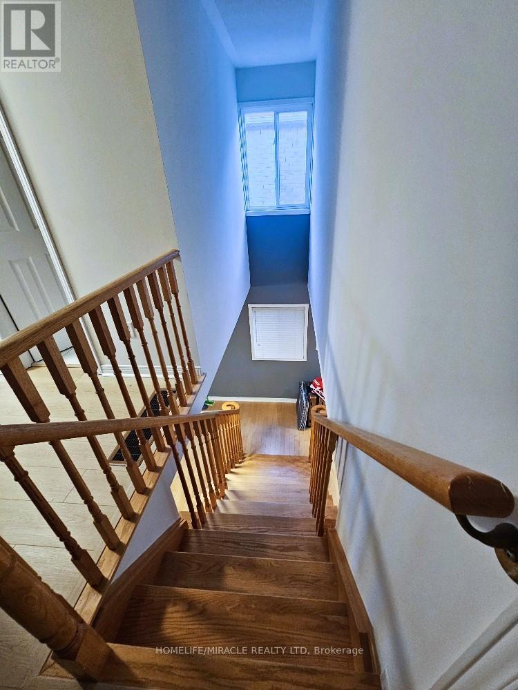 Main - 20 Etienne Street, Toronto, Ontario  M1L 0A2 - Photo 19 - E12482156