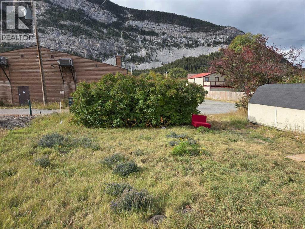 14830 21st Avenue, Frank, Alberta  T0K 0E0 - Photo 4 - A2240939