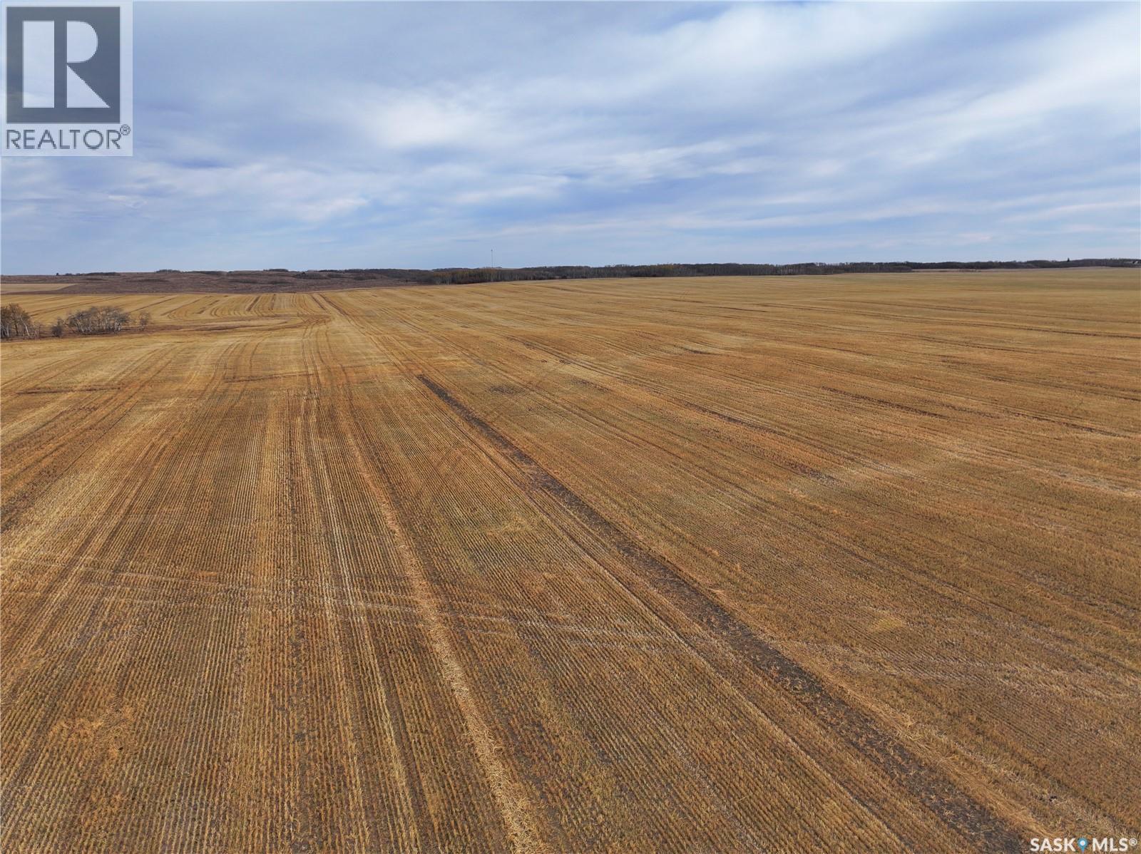 K & K Cattle Co. Ltd., maple creek rm no. 111, Saskatchewan