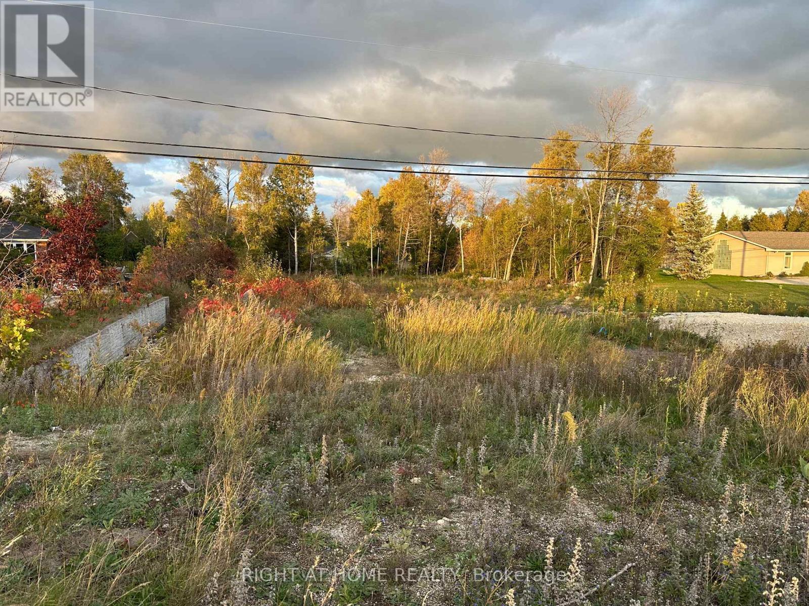 9880 Beachwood Road, Collingwood, Ontario  L9Y 3Z1 - Photo 4 - S12482211