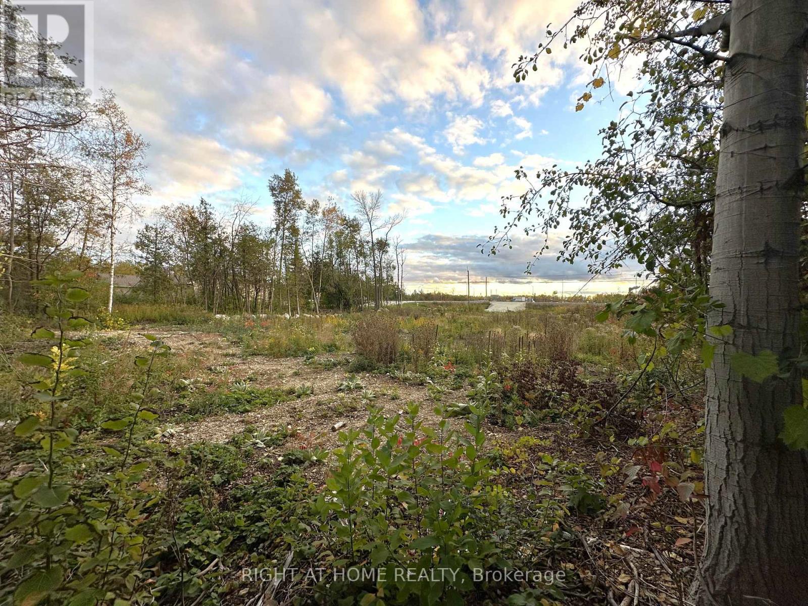 9880 Beachwood Road, Collingwood, Ontario  L9Y 3Z1 - Photo 5 - S12482211