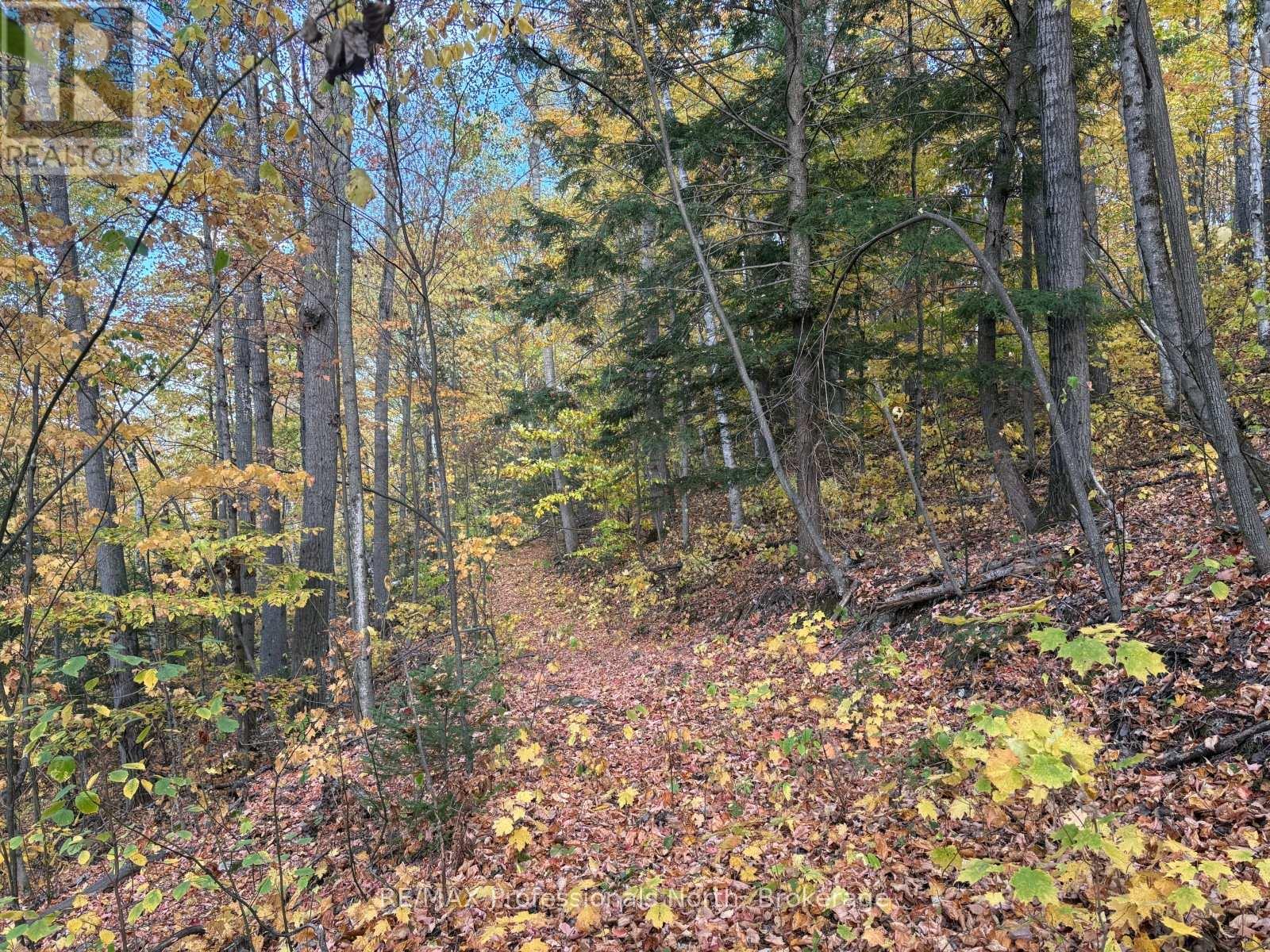 Pt Lt 12-13 Con 2 Baptiste Lake Wao, Hastings Highlands, Ontario  K0L 1C0 - Photo 18 - X12482281