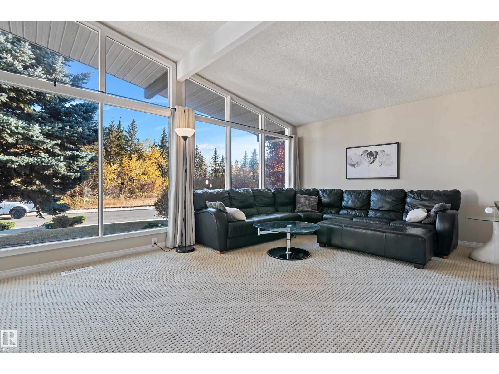 9708 64 St Nw, Edmonton, Alberta  T6B 1R3 - Photo 11 - E4463544