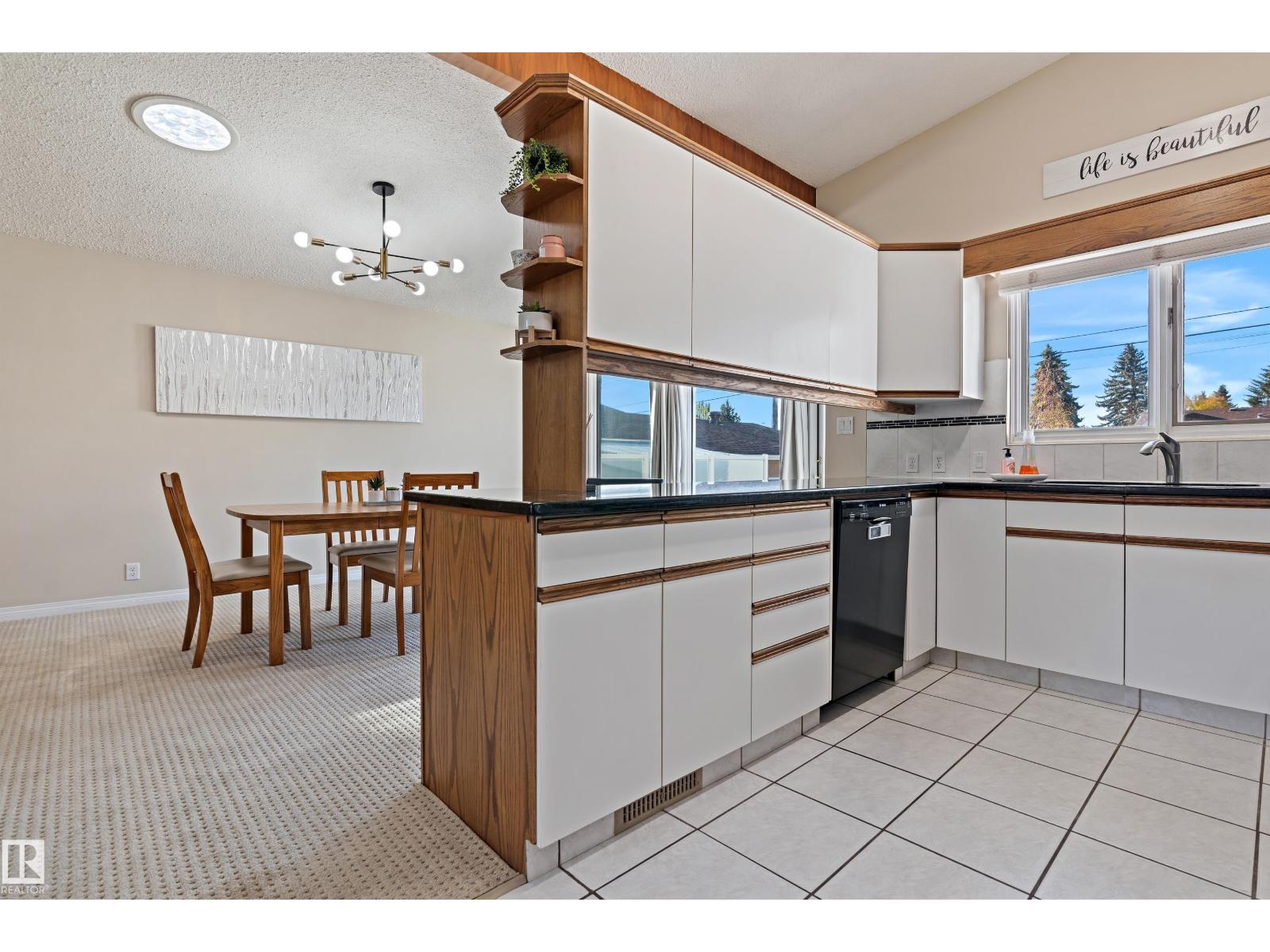 9708 64 St Nw, Edmonton, Alberta  T6B 1R3 - Photo 17 - E4463544