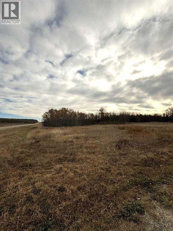 1, 15015 Township Road 424 Township, Rural Ponoka County, Alberta  T0B 0H0 - Photo 2 - A2266261