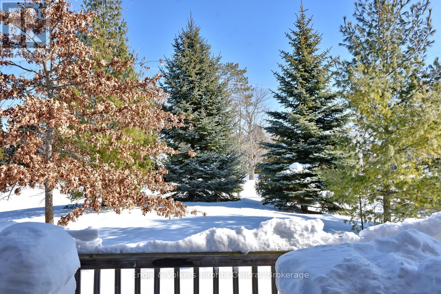 47 Meadowbrook Lane, Blue Mountains, Ontario  N0H 2P0 - Photo 2 - X12436590