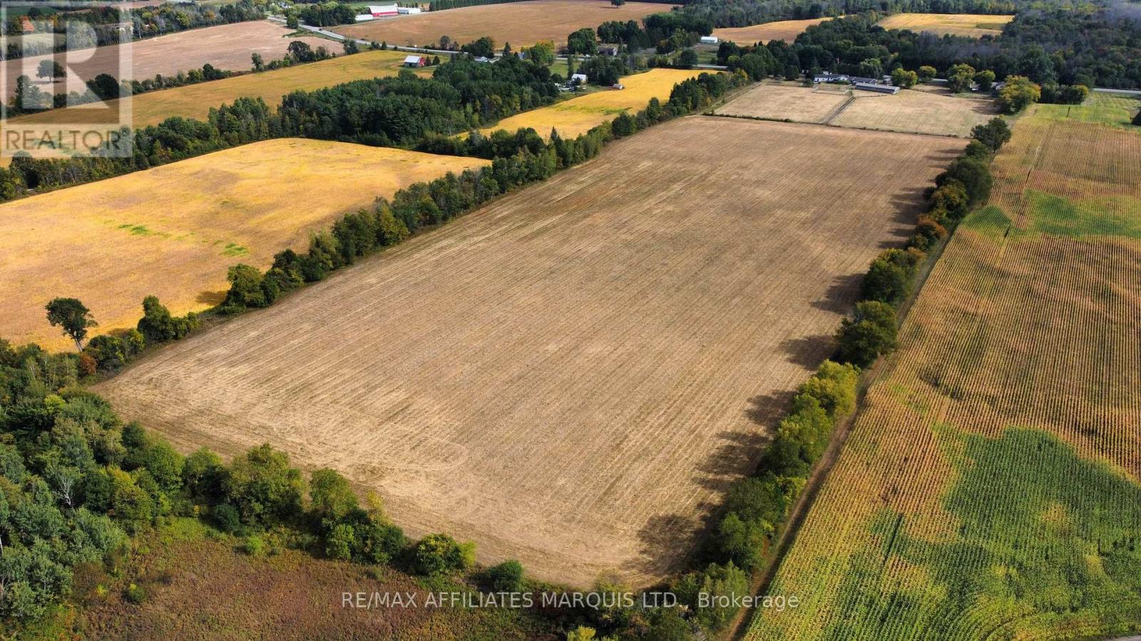 000 County 21 Road, Augusta, Ontario  K0E 1X0 - Photo 5 - X12482383