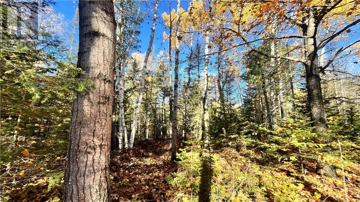 Na Checkerboard Lane, Gore Bay, Ontario  P0P 1H0 - Photo 11 - 2125234