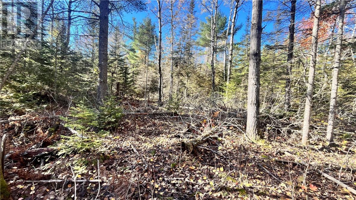 Na Checkerboard Lane, Gore Bay, Ontario  P0P 1H0 - Photo 10 - 2125234