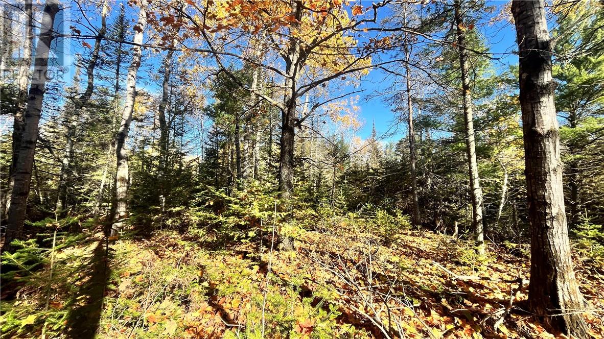 Na Checkerboard Lane, Gore Bay, Ontario  P0P 1H0 - Photo 12 - 2125234