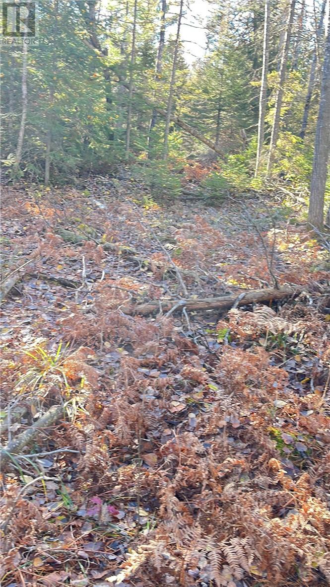 Na Checkerboard Lane, Gore Bay, Ontario  P0P 1H0 - Photo 8 - 2125234