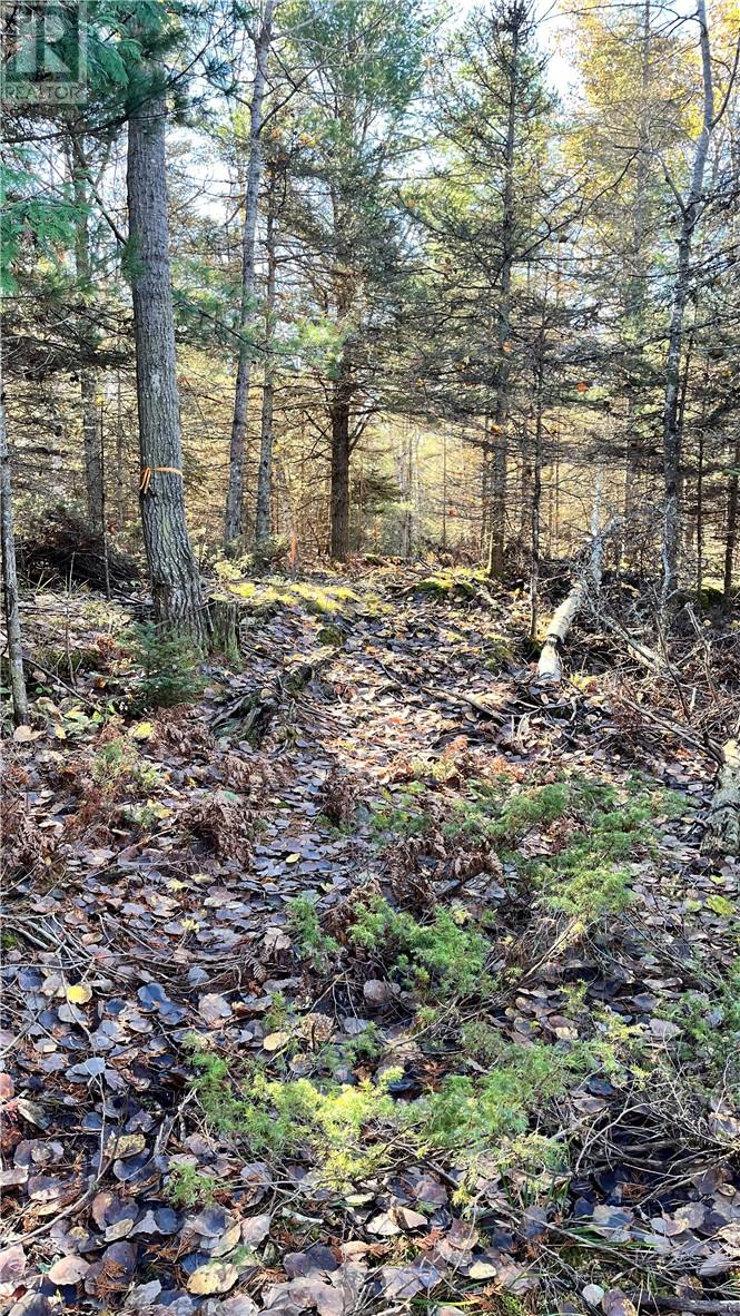 Na Checkerboard Lane, Gore Bay, Ontario  P0P 1H0 - Photo 13 - 2125234