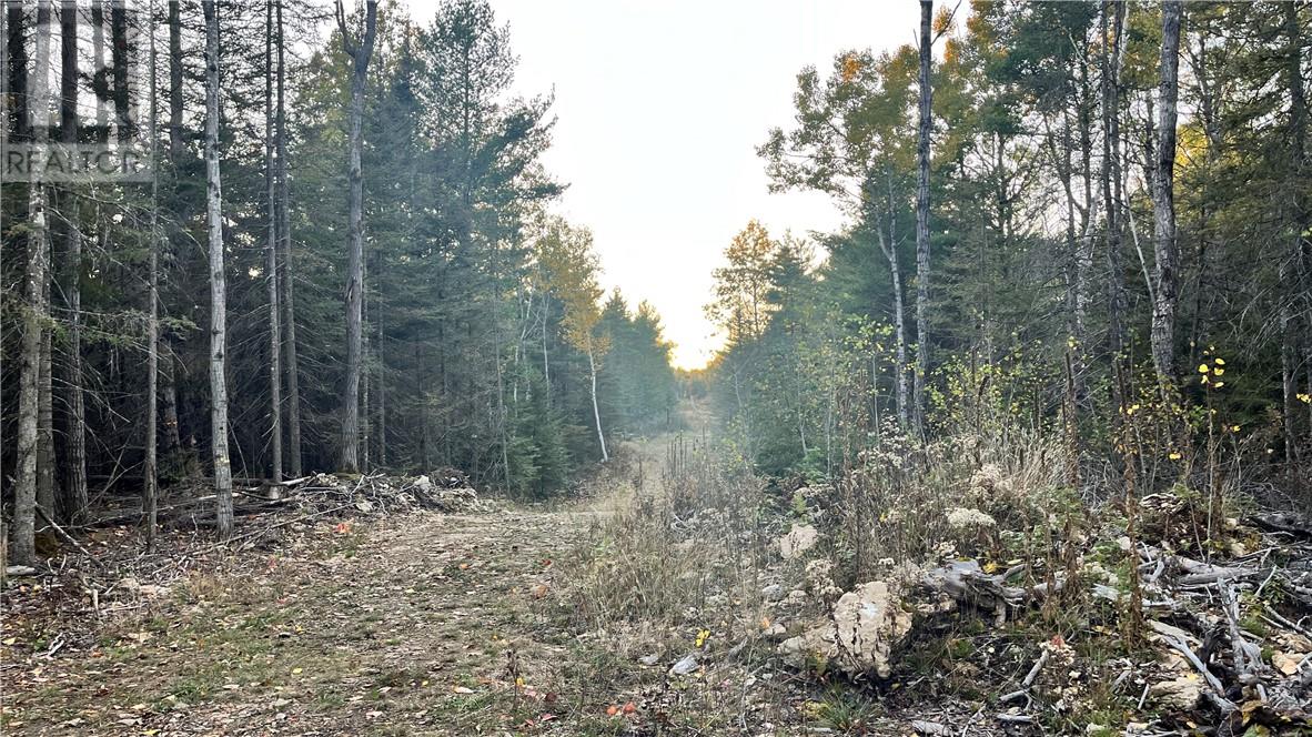 NA Checkerboard Lane, Gore Bay, Ontario