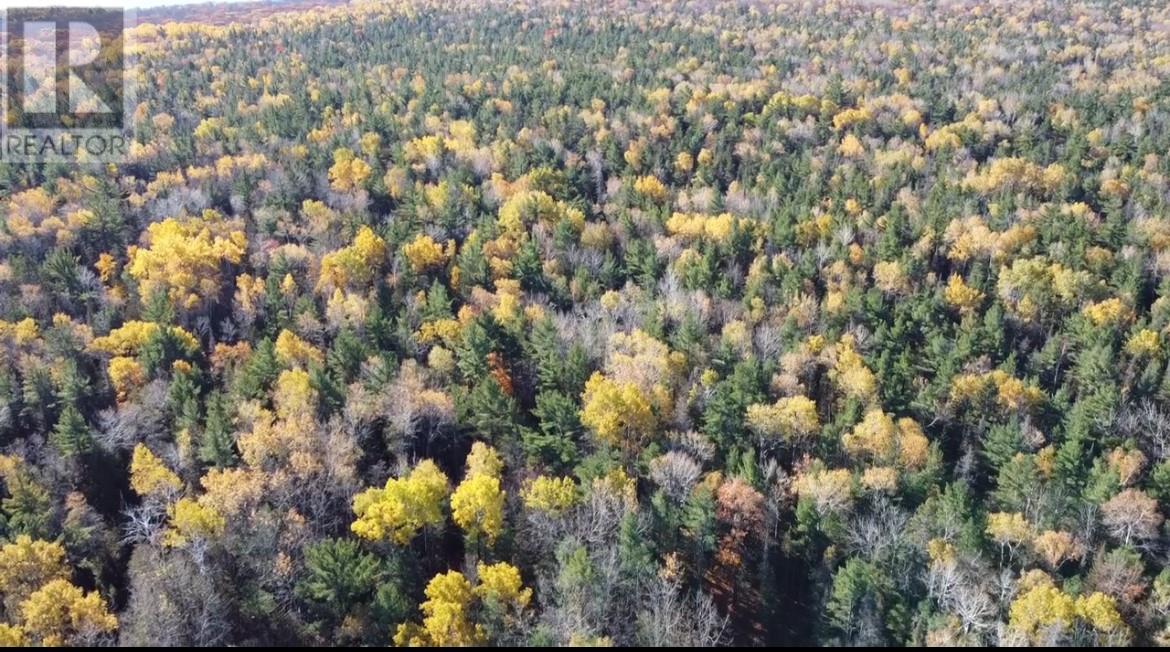 Na Checkerboard Lane, Gore Bay, Ontario  P0P 1H0 - Photo 4 - 2125234
