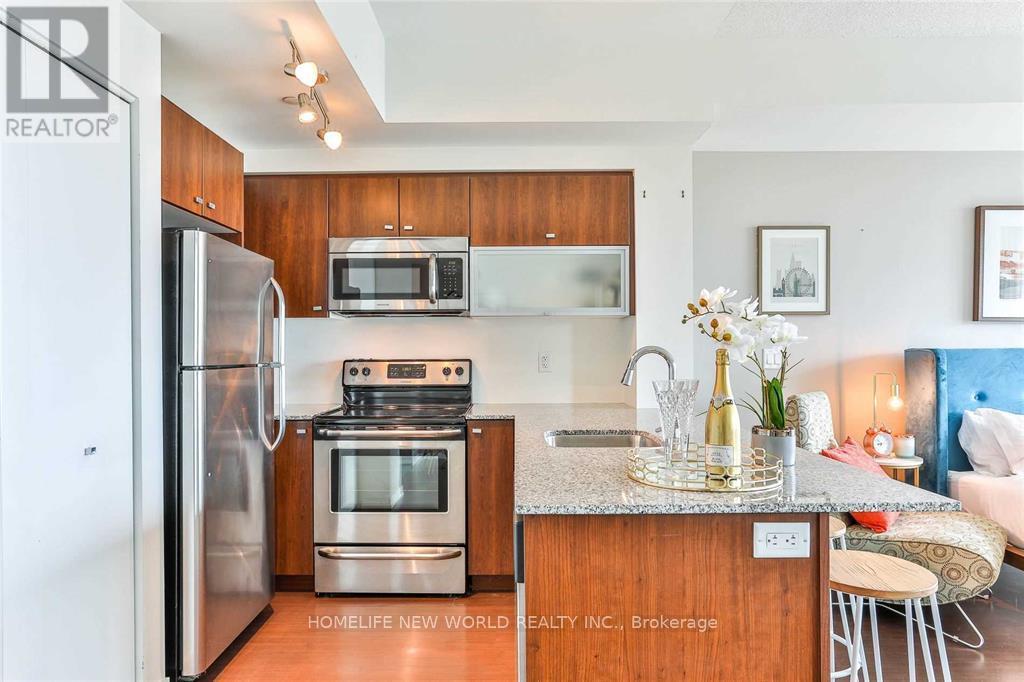 312 - 150 East Liberty Street, Toronto, Ontario  M6K 3R5 - Photo 7 - C12482467