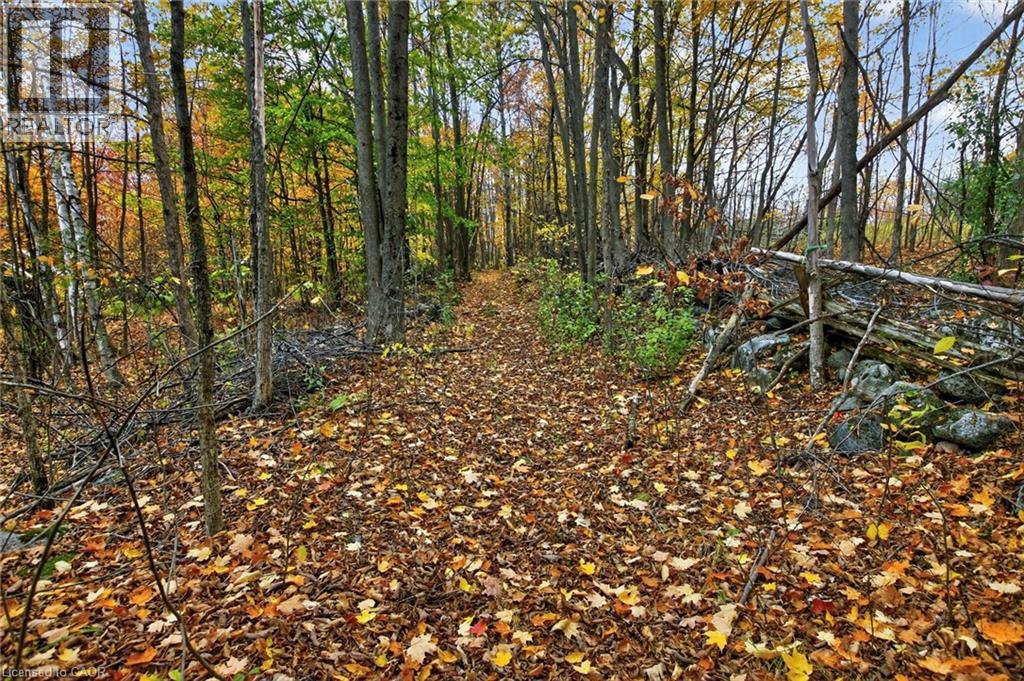 152b Wannamaker Road, Stirling, Ontario  K0K 3E0 - Photo 43 - 40780502