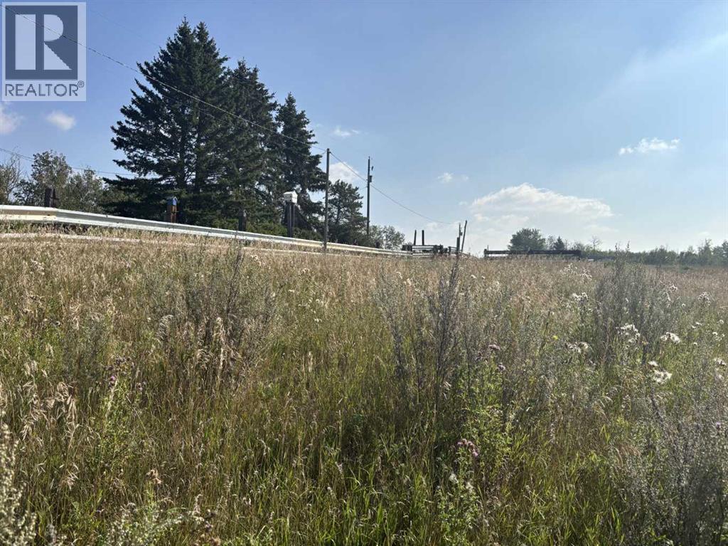 2, 431014 Range Road 250, Rural Ponoka County, Alberta  T4J 1R1 - Photo 40 - A2265893