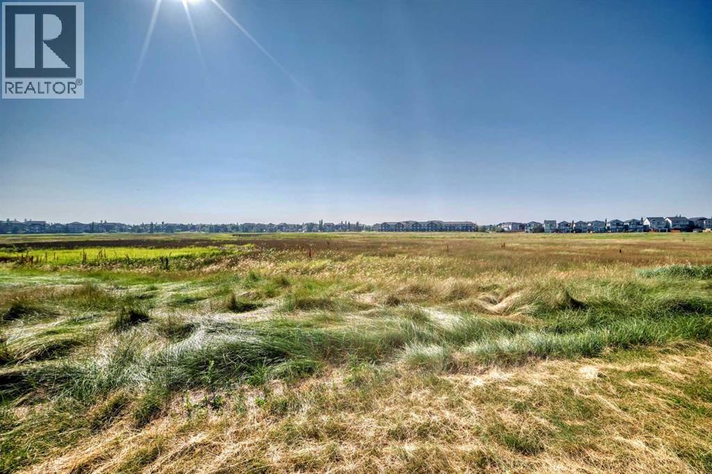 39 Williamstown Landing Nw, Airdrie, Alberta  T4B 0S2 - Photo 38 - A2261065