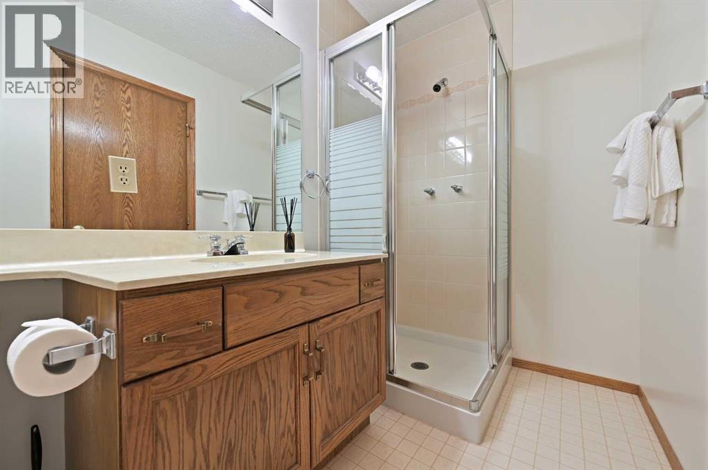 127 Douglasbank Court Se, Calgary, Alberta  T2Z 2C3 - Photo 17 - A2254677