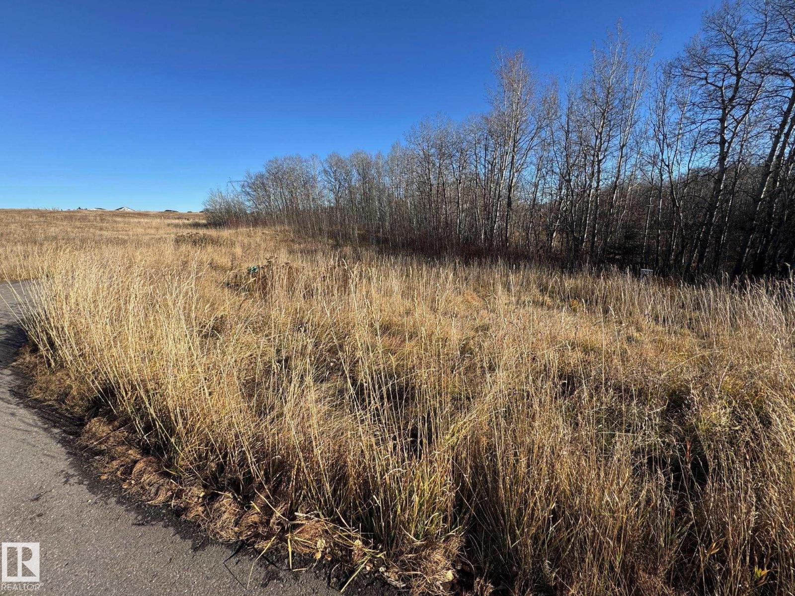 #33 53214 Rge Road 13, Rural Parkland County, Alberta  T7Y 0C1 - Photo 8 - E4463560