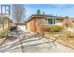 Basement - 24 Ludgate Drive, Toronto (Rexdale-Kipling), Ca