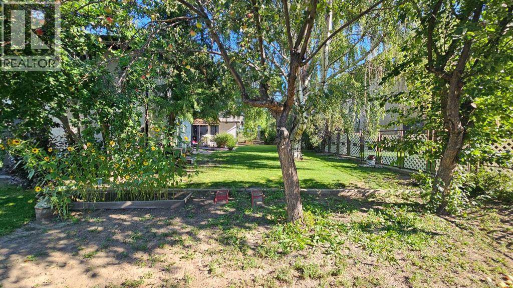 808 1 Street Ne, Milk River, Alberta T0K 1M0 - Photo 43 - A2250000