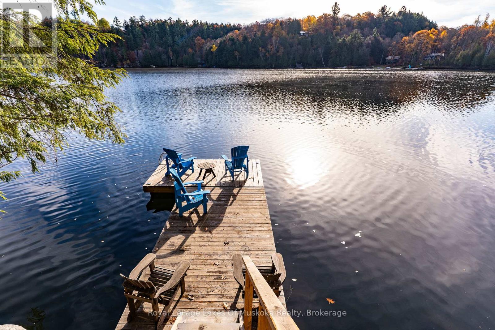 1 - 1060 Skeleton Lake 3 Road, Muskoka Lakes, Ontario  P0B 1M0 - Photo 43 - X12482633