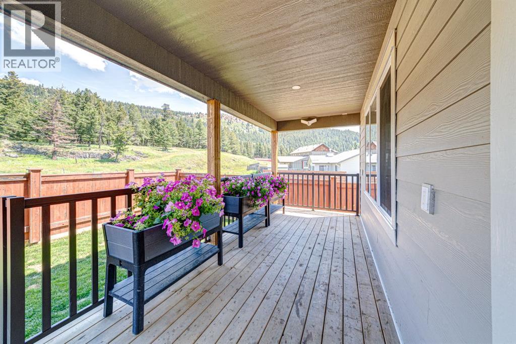 2938 214, Bellevue, Alberta  T0K 0C0 - Photo 49 - A2267019