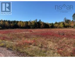 100 Acres Spencers Beach (Hwy 209) Road, Spencers Island, Nova Scotia