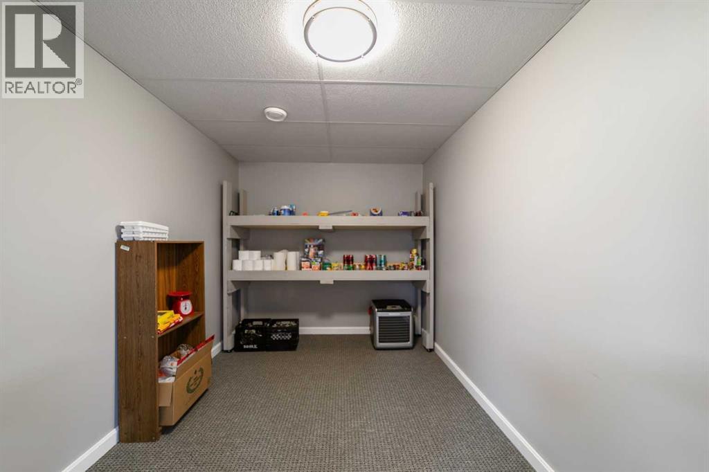 46512 Range Road 150, Rural Flagstaff County, Alberta  T0B 4H0 - Photo 35 - A2253550