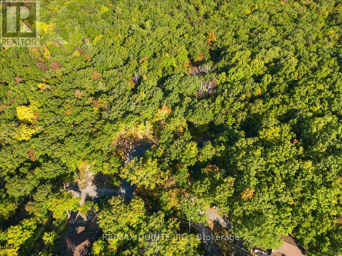 102 Attwood Lane, Frontenac, Ontario  K0H 1T0 - Photo 34 - X12328476