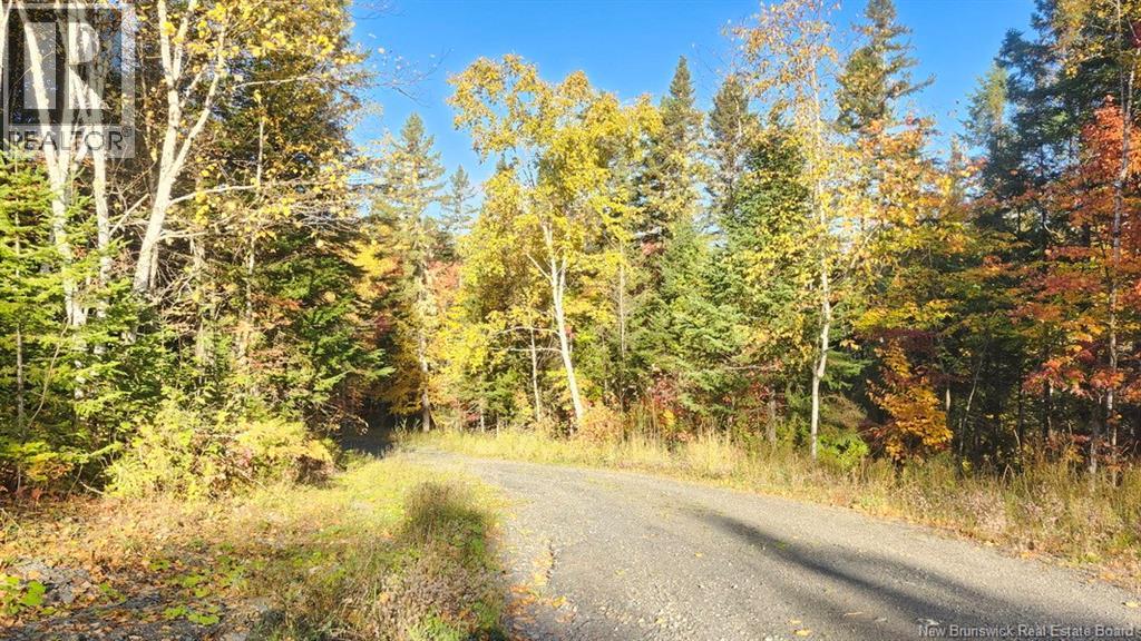 791 Baisley Road, Saint-Jacques, New Brunswick  E7B 2A1 - Photo 27 - NB127648