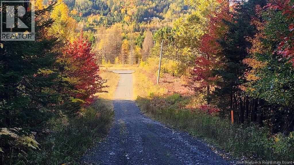 791 Baisley Road, Saint-Jacques, New Brunswick  E7B 2A1 - Photo 28 - NB127648