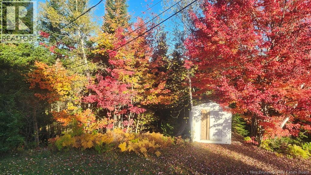 791 Baisley Road, Saint-Jacques, New Brunswick  E7B 2A1 - Photo 23 - NB127648