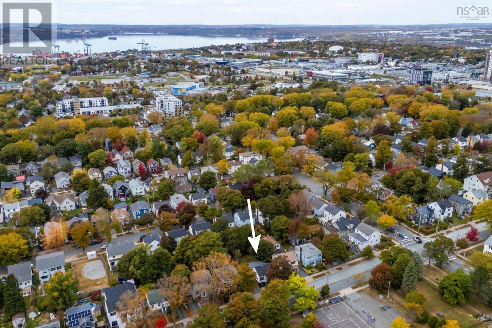 6433 Almon Street, Halifax, Nova Scotia  B3L 1V6 - Photo 48 - 202525961