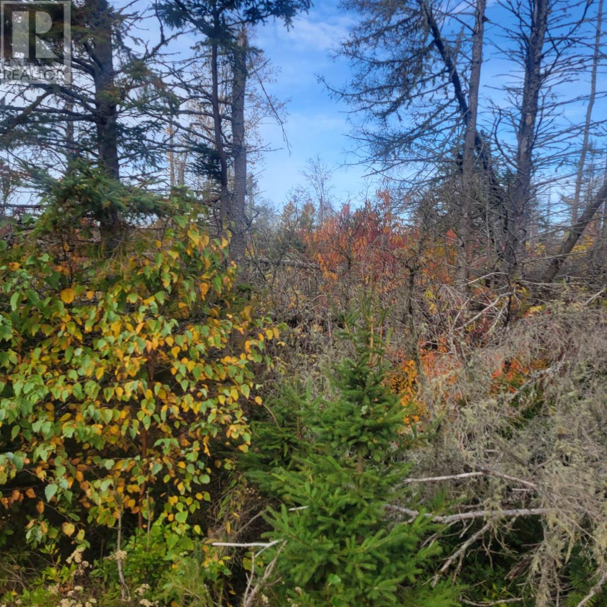 Lot 4a Cottage Country Lane, Mayfield, Prince Edward Island  C0A 1N0 - Photo 2 - 202526599