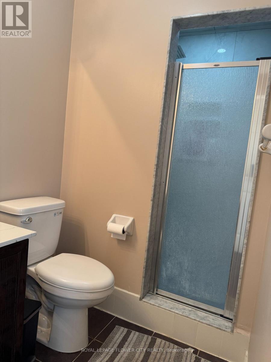 9710 Mclaughlin Road N, Brampton, Ontario  L6X 0T8 - Photo 24 - W12482418