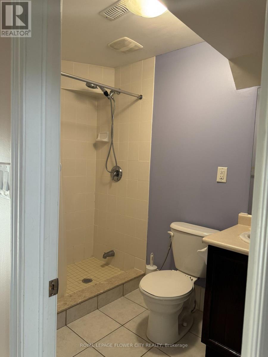 9710 Mclaughlin Road N, Brampton, Ontario  L6X 0T8 - Photo 42 - W12482418