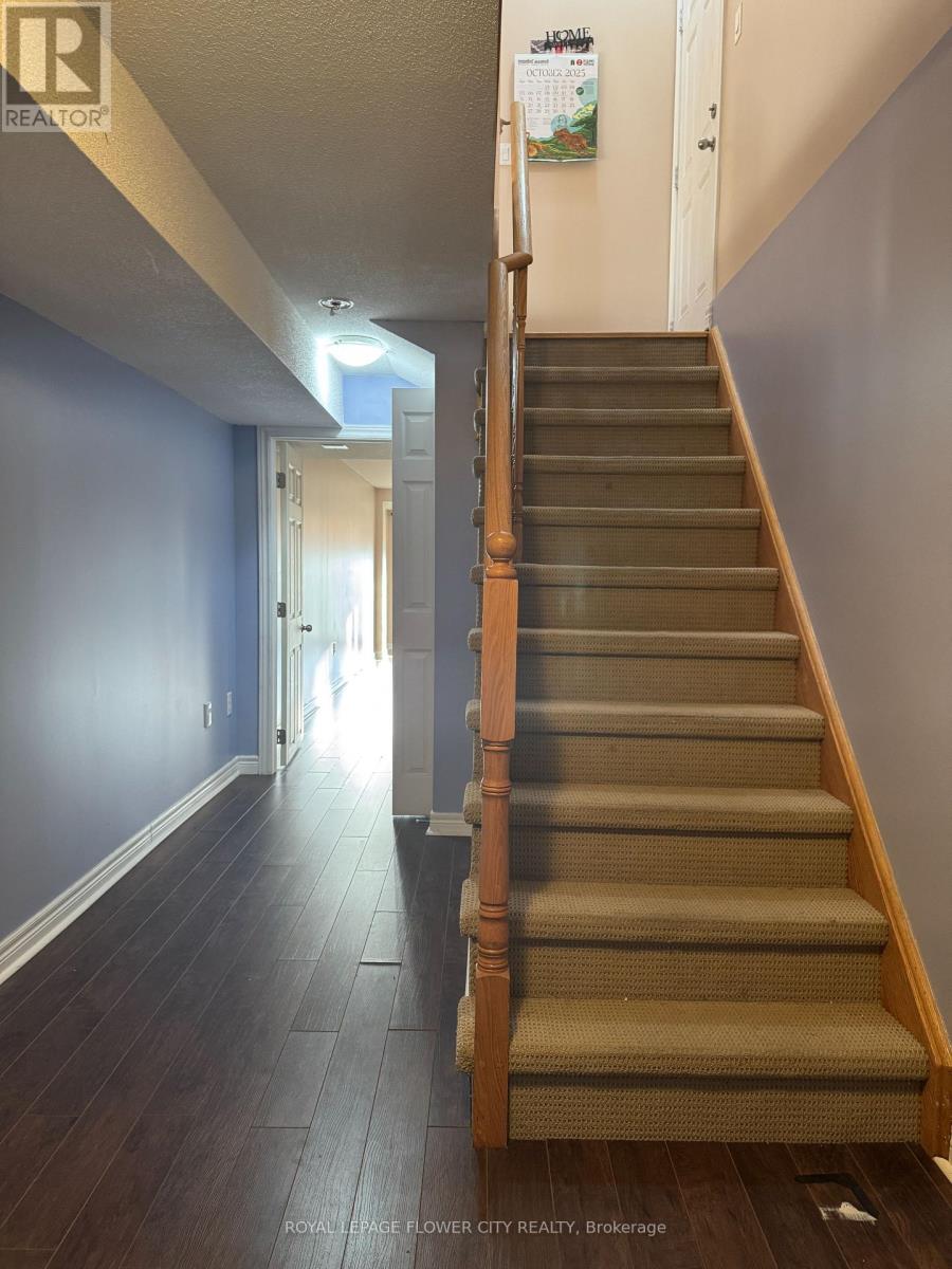 9710 Mclaughlin Road N, Brampton, Ontario  L6X 0T8 - Photo 40 - W12482418