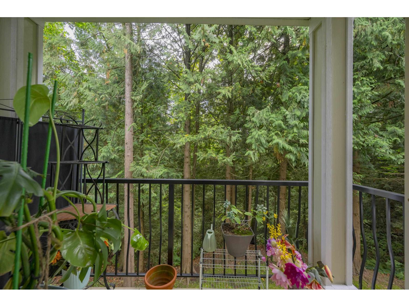 208 10320 156 Street, Surrey, British Columbia  V3R 4L8 - Photo 3 - R3056156